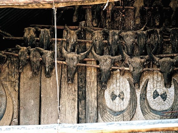 പൂമുഖം അലങ്കരിക്കാന്‍ തലയോട്ടികള്‍