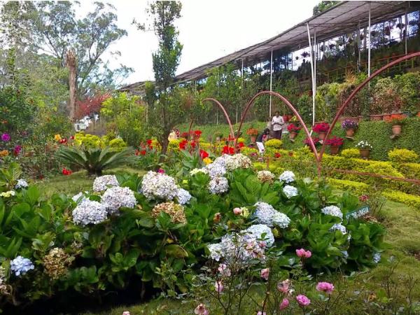 റോസ് ഗാര്‍ഡന്‍ കഴിഞ്ഞ്