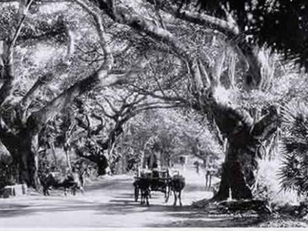 മൈവെരോയ് റോഡ്