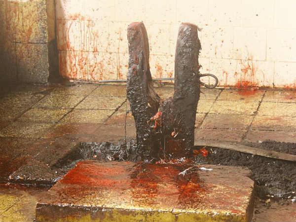 ദേവിക്കായി ആണ്‍മൃഗ ബലി