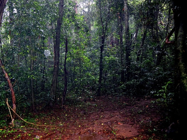 പുരാണത്തിലെ ഇരിങ്ങോള്‍