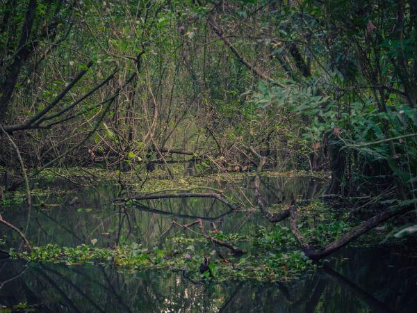 പാതിരാ മണല്‍