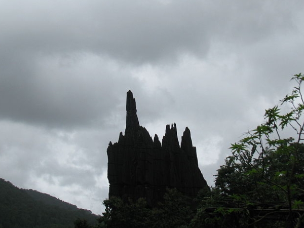 പന്തയം വെയ്ക്കാം