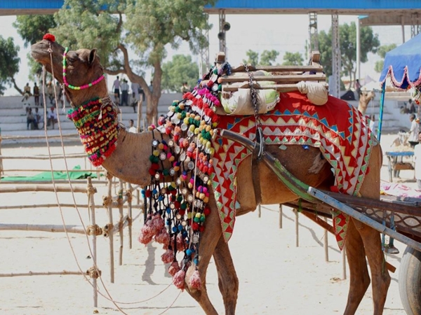 പുഷ്‌കര്‍