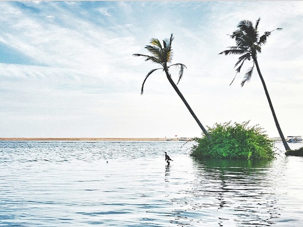 പൂവാര്‍