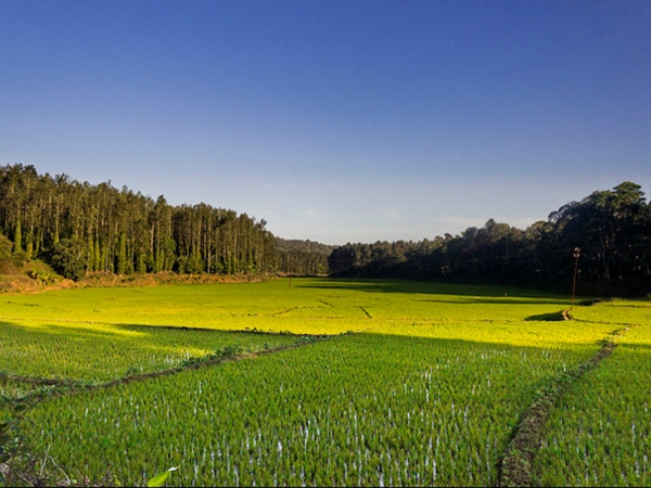  ഉറപ്പായും സന്ദർശിക്കേണ്ട സ്ഥലം