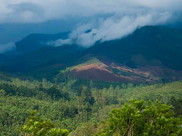 ദേവികുളം