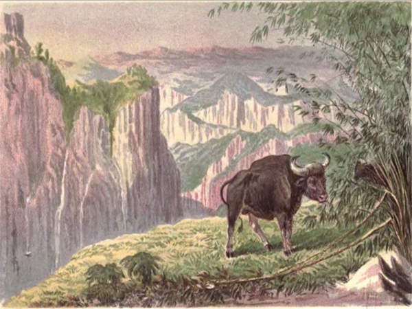 ബ്രിട്ടീഷുകാര്‍ കണ്ടെത്തിയ സ്ഥലം