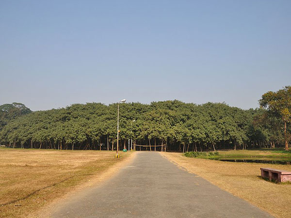  കൊൽക്കത്തയിലെ ഗ്രേറ്റ് ആൽമരം