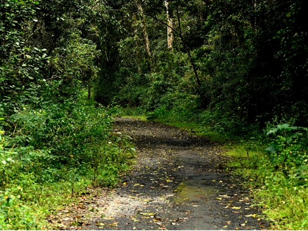 പ്രകൃതിയെ ആസ്വദിക്കാം