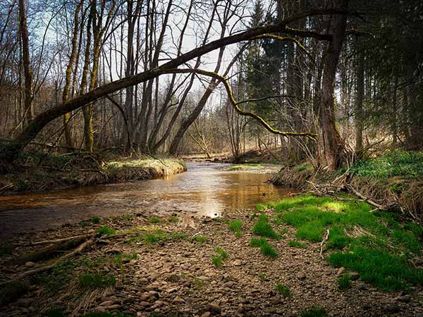 കാനൂർ കോട്ടൈ