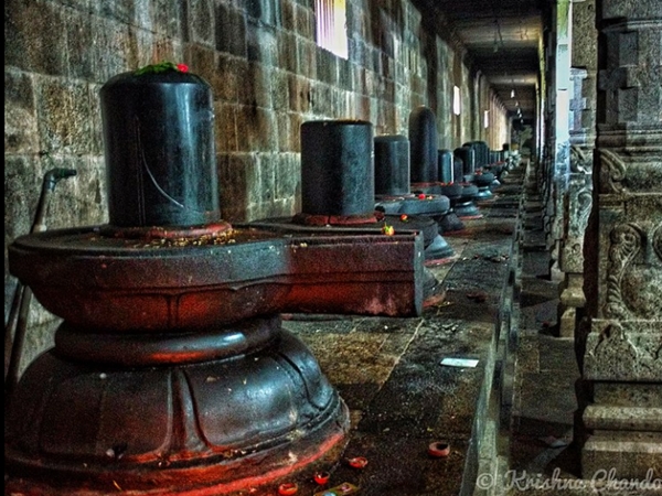 സഹസ്രലിംഗം