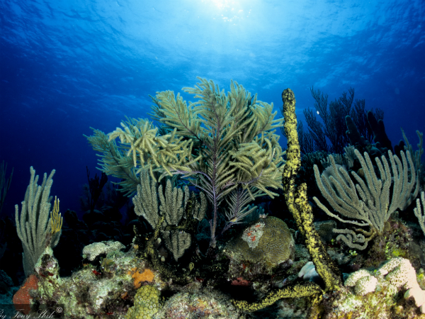  എവിടെ ചെയ്യാം