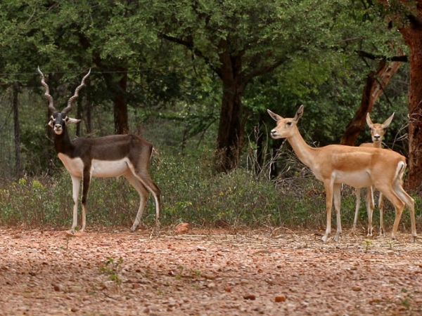  അടുത്തുള്ള സ്ഥലങ്ങള്‍ 