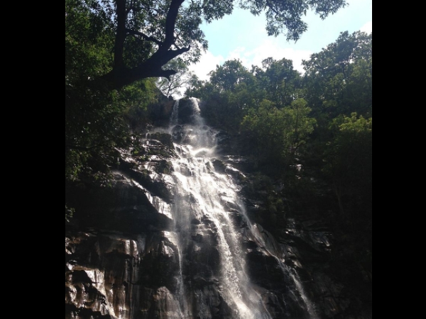 ബീ ഫാള്‍സ്