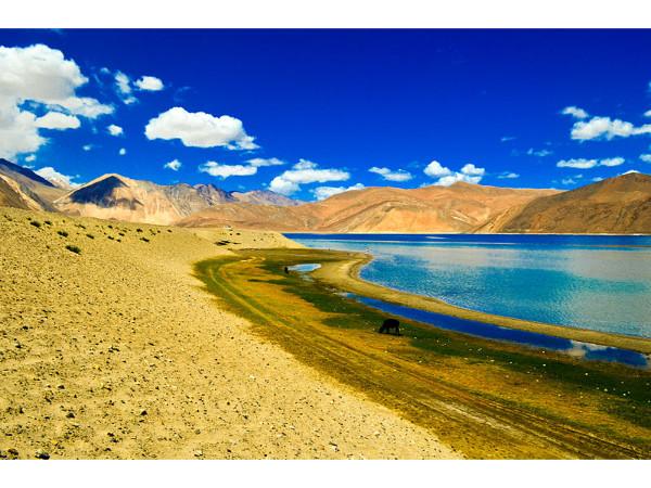 പാങോങ് തടാകം