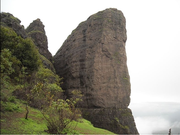 ഡ്യൂക്ക്‌സ് നോസ്
