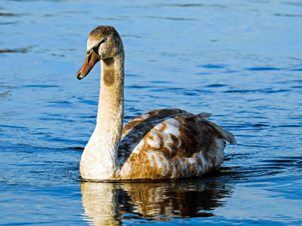ഫോട്ടോഗ്രഫി