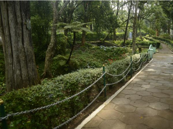 സിംസ് പാര്‍ക്ക്