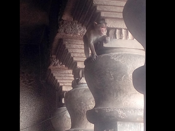 പുരാണങ്ങളിലെ ലെന്യാദ്രി