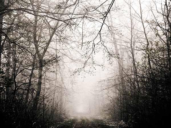 മധുബാനി തടാകം