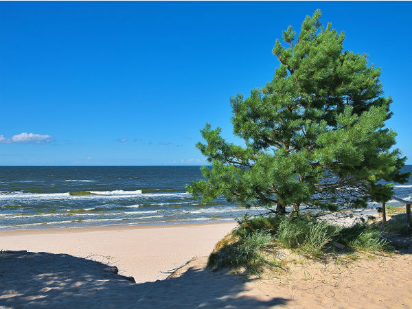 ഭിതാർകനിക ബീച്ച് 