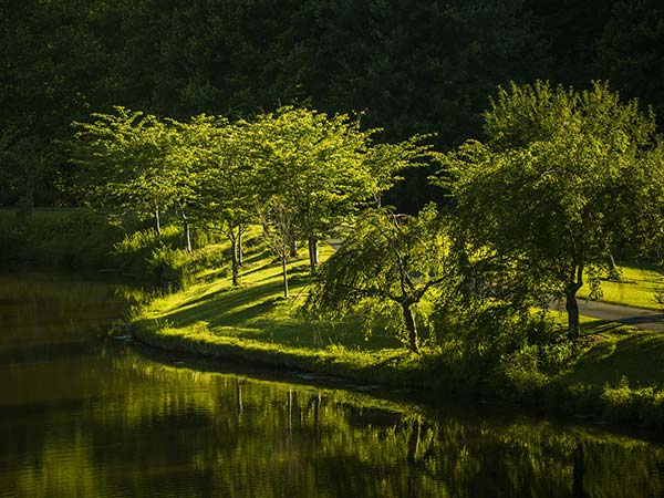 മിസോറാം