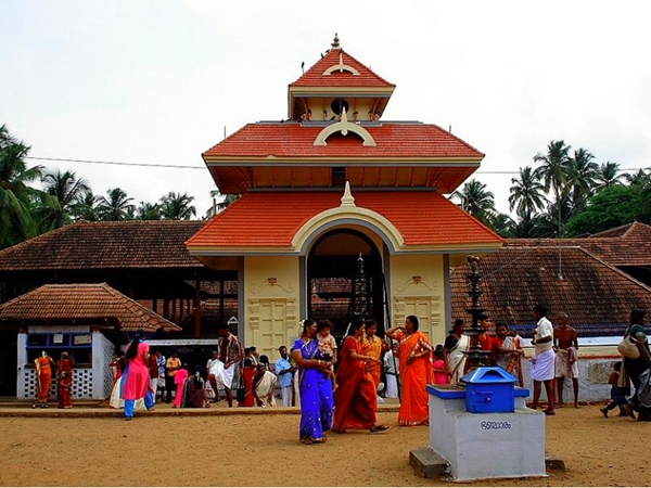 പൂവന്‍കോഴി വഴിപാട്