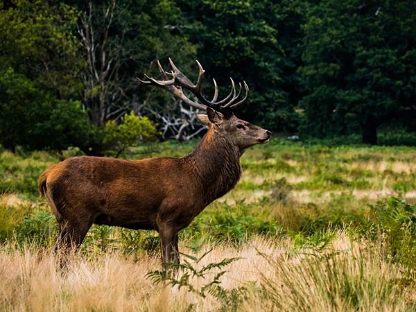 സമ്പന്നമായ ജൈവവൈവിധ്യം