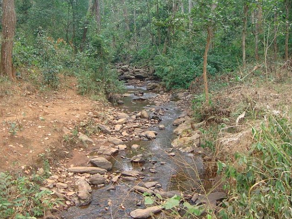 കടുവ സംരക്ഷണ കേന്ദ്രം