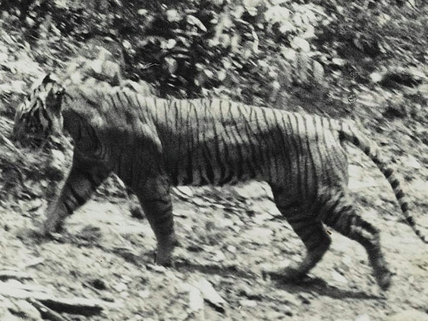 പേരുവന്ന വഴി