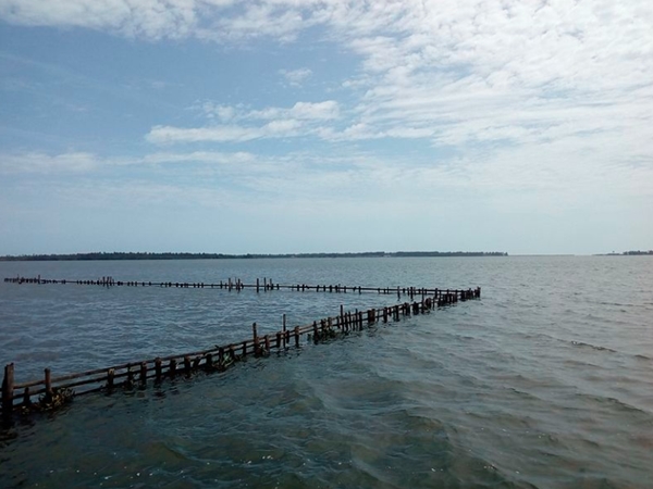 കായംകുളം കായല്‍