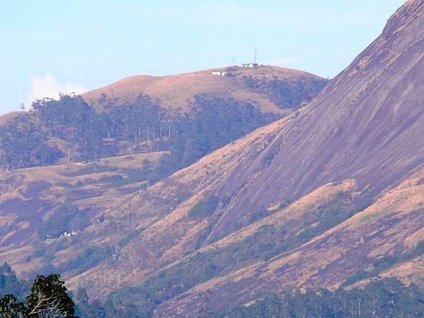 വേട്ടക്കാര്‍ മനസ്സിലാക്കിയ സ്ഥലം