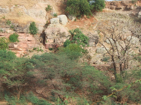 വിഹാരങ്ങളും ചൈത്യവും