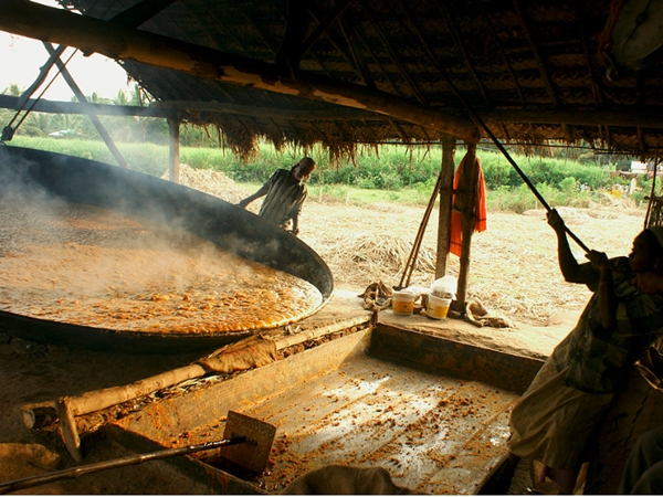 മറയൂര്‍ ശര്‍ക്കര