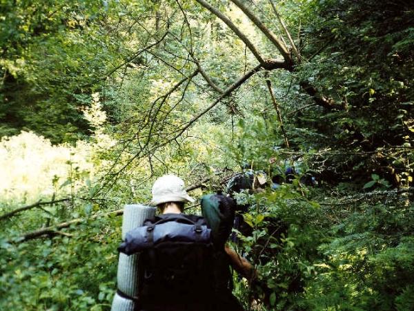 മൃഗങ്ങളെ പ്രകോപിപ്പിക്കാതിരിക്കുക