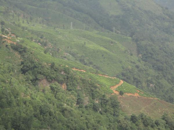 ലാംസ് റോക്ക്