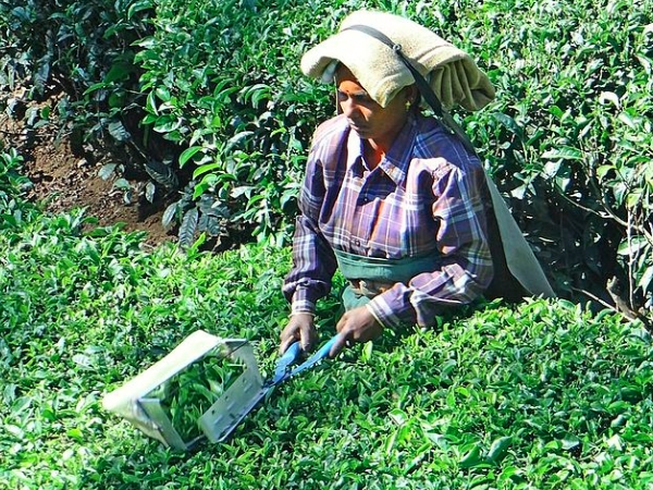 വ്യത്യസ്തങ്ങളായ സംസ്‌കാരങ്ങളുടെ സ്ഥലം