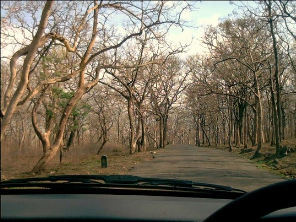 സത്യമംഗലം വൈല്‍ഡ് ലൈഫ് സാങ്ച്വറി