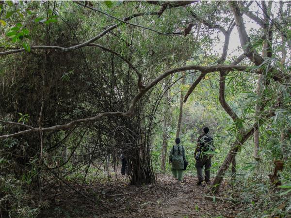 കാടിനുള്ളില്‍ നിശബ്ദരാവാം