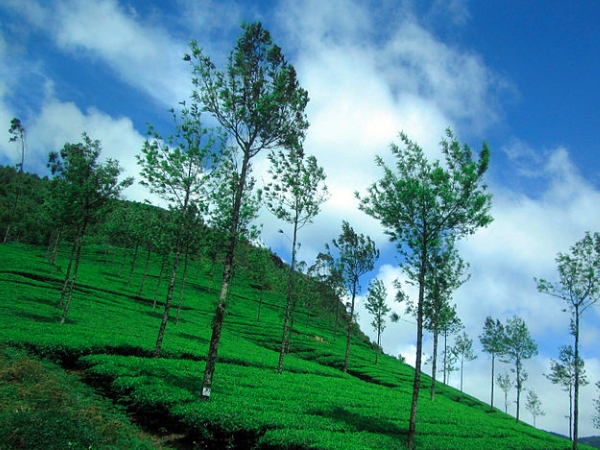 സഞ്ചാരികളുടെ പ്രിയകേന്ദ്രം