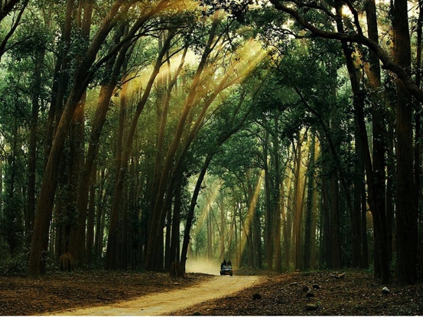 ജിം കോര്‍ബെറ്റ് നാഷണല്‍ പാര്‍ക്ക് 