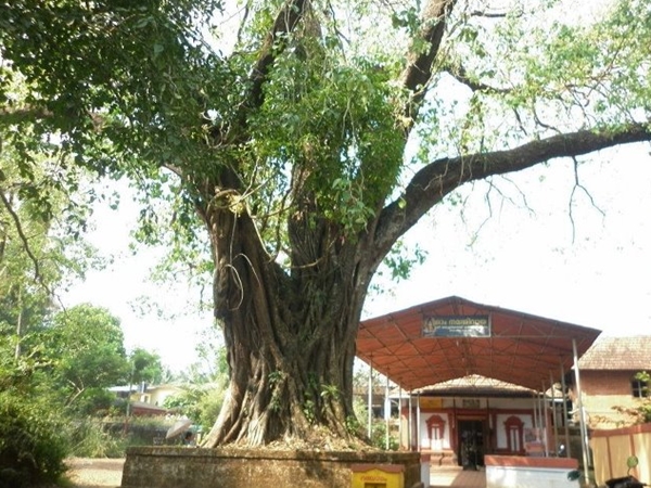 അക്ലിയത്ത് ശിവക്ഷേത്രം