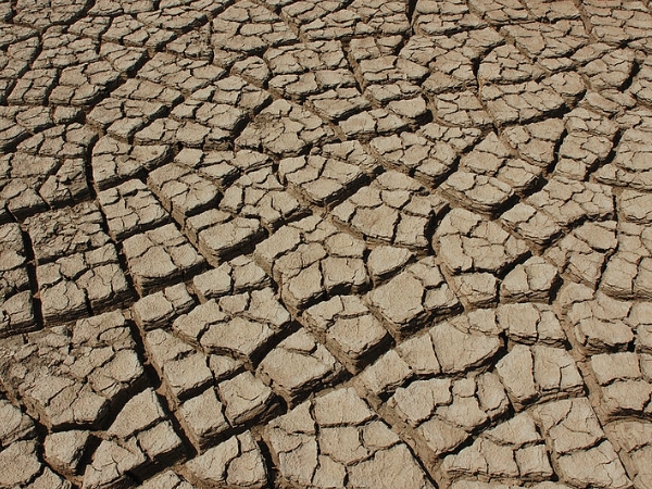 എന്താണ് റാന്‍ ഓഫ് കച്ച്? 