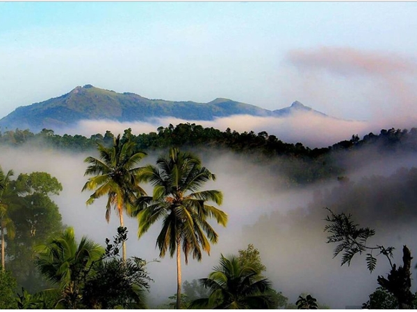 വൈത്തിരി