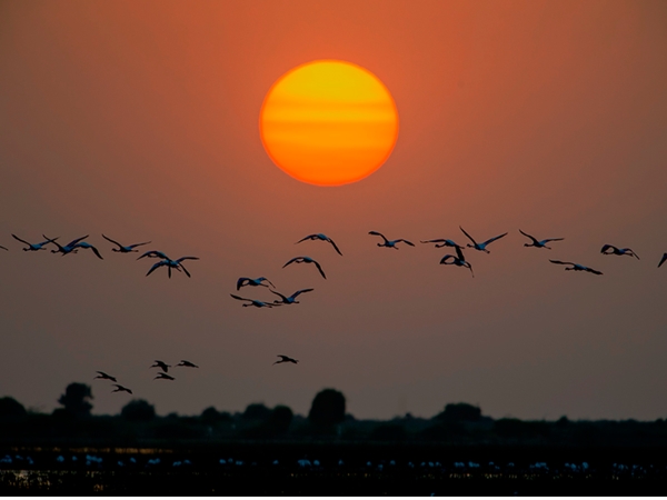 പ്രകൃതിയുടെ അത്ഭുതങ്ങളില്‍ ഒന്ന്...!