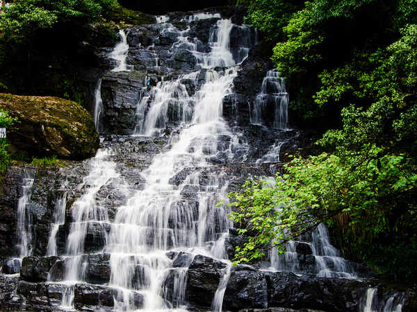 എലിഫന്റ് വെള്ളച്ചാട്ടം 