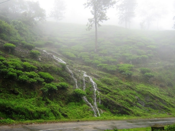 പീരുമേട്