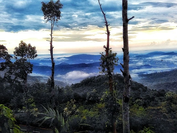 കാഴ്ചയുടെ പൂരസദ്യ