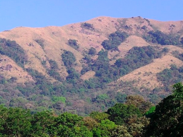 കര്‍ണ്ണാടകയില്‍ നിന്നും വരുന്നവര്‍ക്ക് 